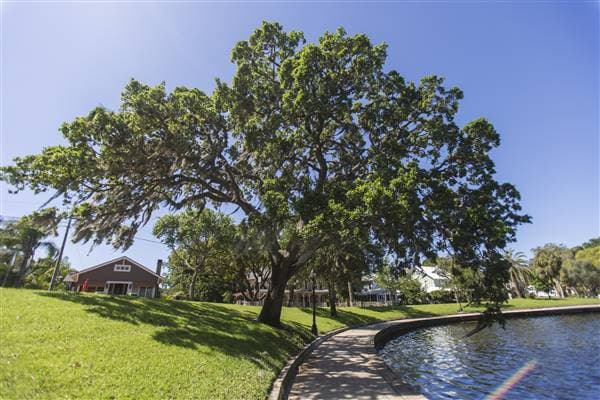 Spring Bayou & Craig Park